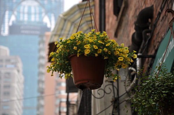 A person looking at a map while planning their time